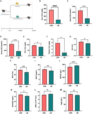 Multiple micronutrient deficiencies alter energy metabolism in host and gut microbiome in an early-life murine model